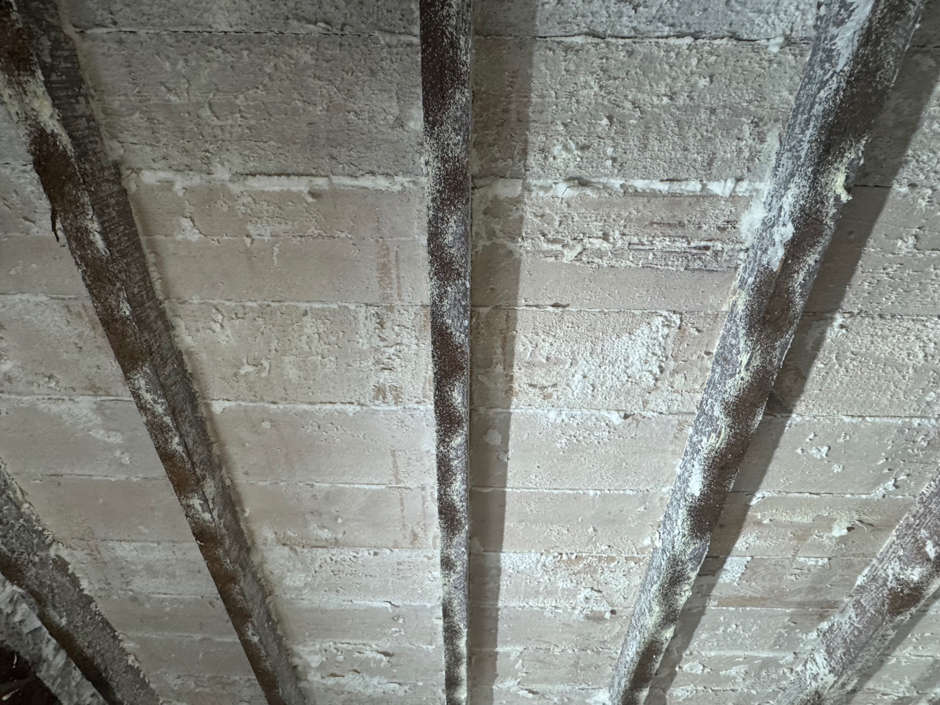 Roof timbers exposed after spray foam removal